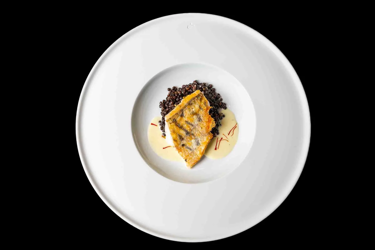 Zanderfilet auf Linsen mit Safransauce