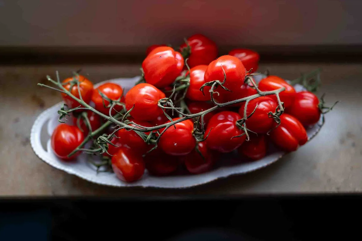 Kirschtomaten an der Rispe in einer weißen Porzellanschale auf dem Fensterbrett