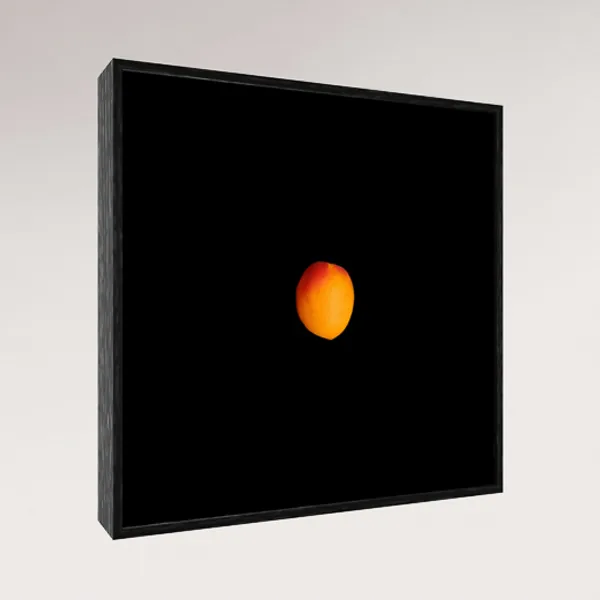 Golden Silence, Ingredient Studies 2023