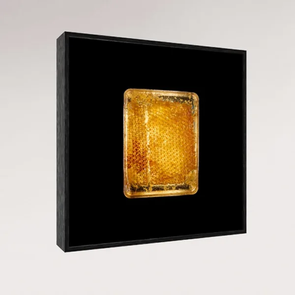 Honeycomb Wisdom, Ingredient Studies 2023