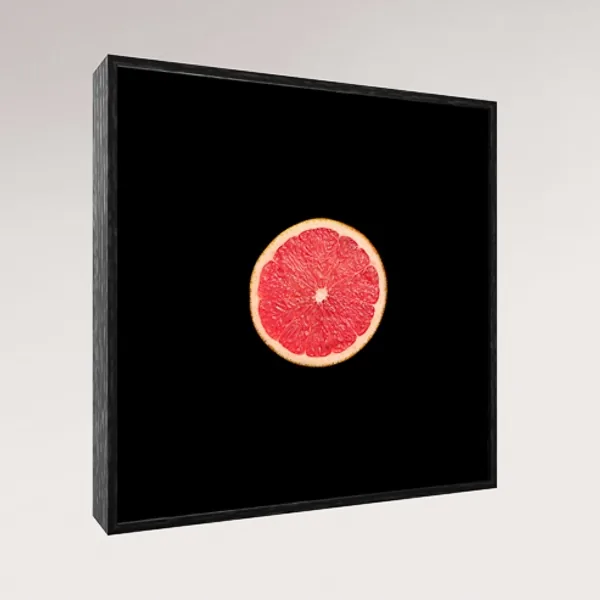 Sun Cut, Ingredient Studies 2023