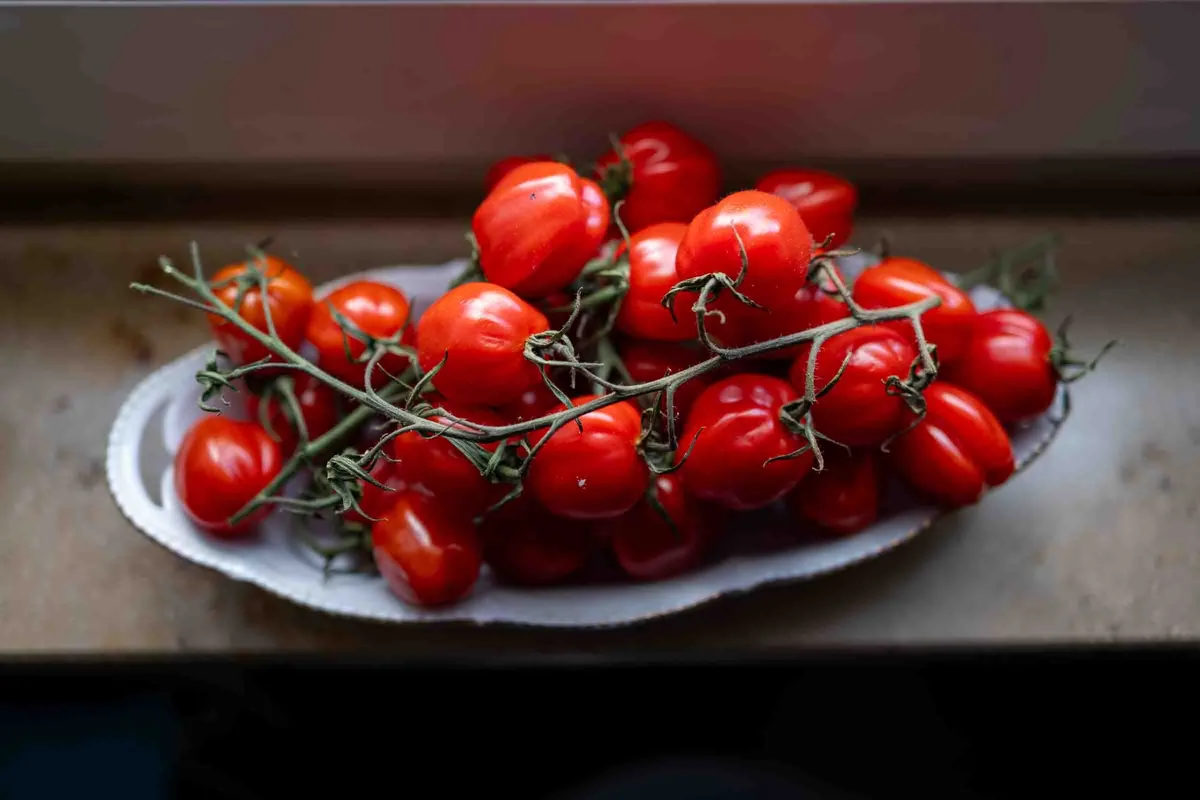 Abundance I (Tomatoes), Kitchen Studies 2026