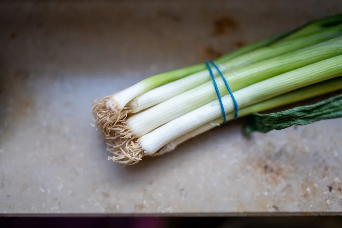 Before Cutting I (Spring Onions), Kitchen Studies 2026