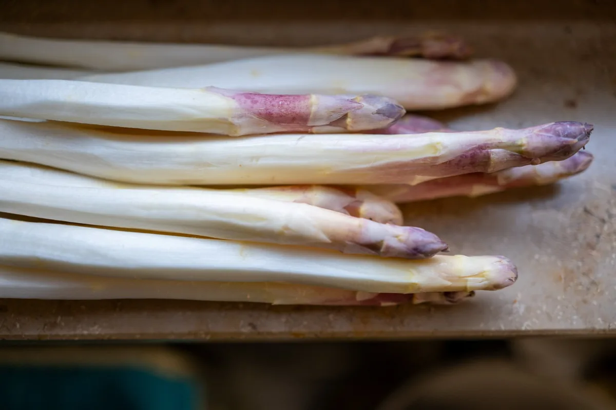 Before Season I (Asparagus), Kitchen Studies 2026