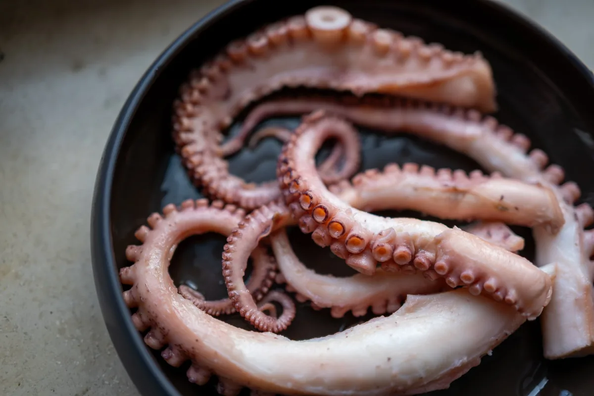Eight I (Octopus), Kitchen Studies 2026