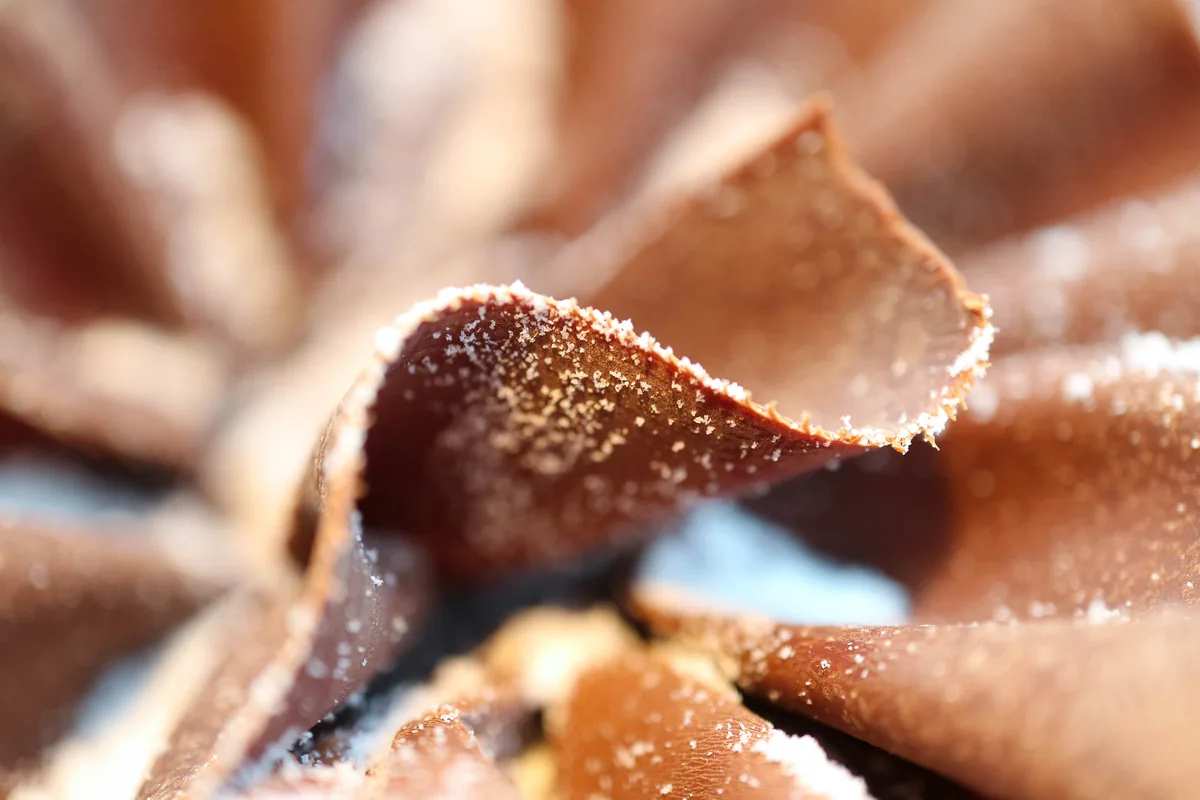 Chocolate Study I, Perception 2020