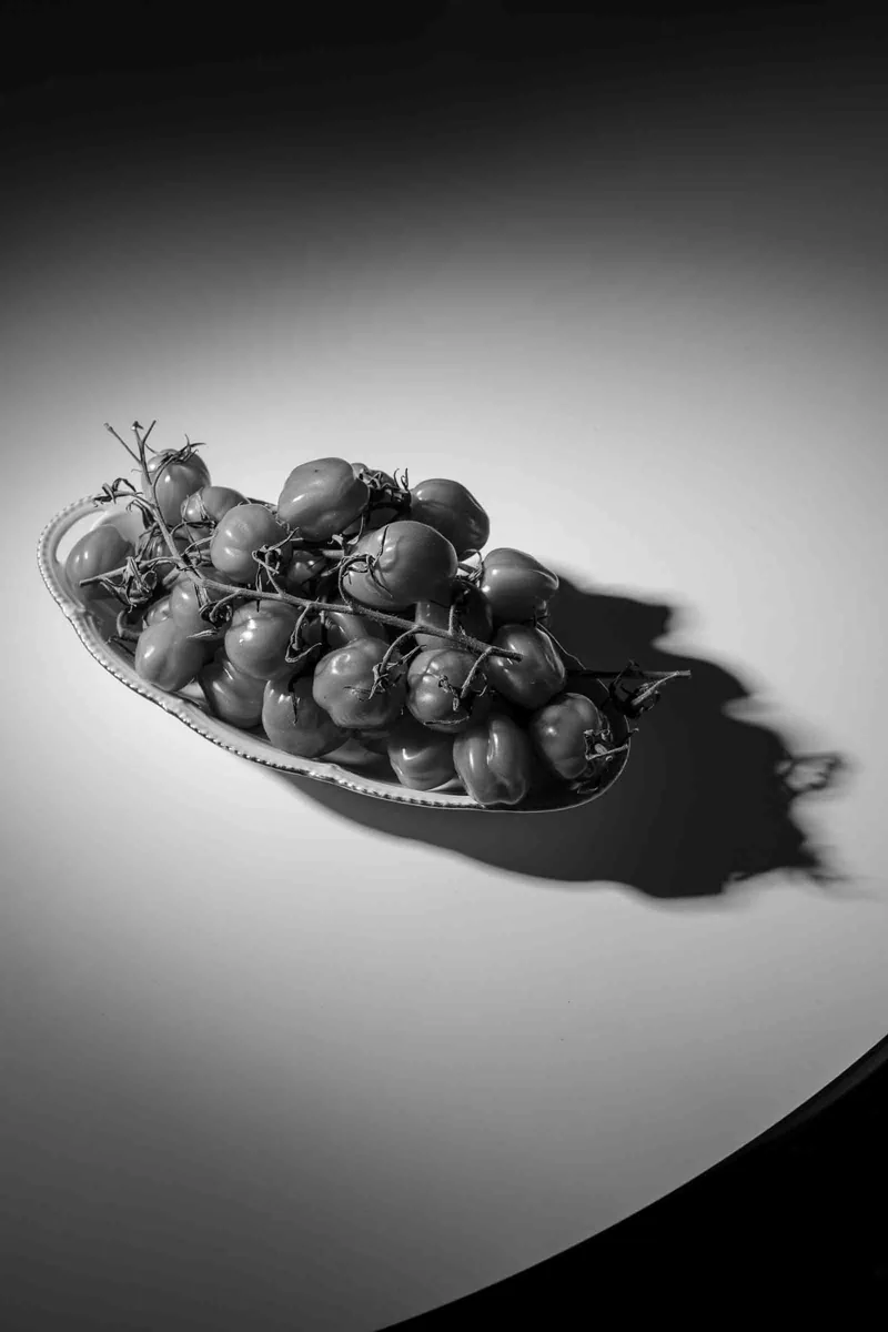 Silence I (Tomatoes), Substance 2026