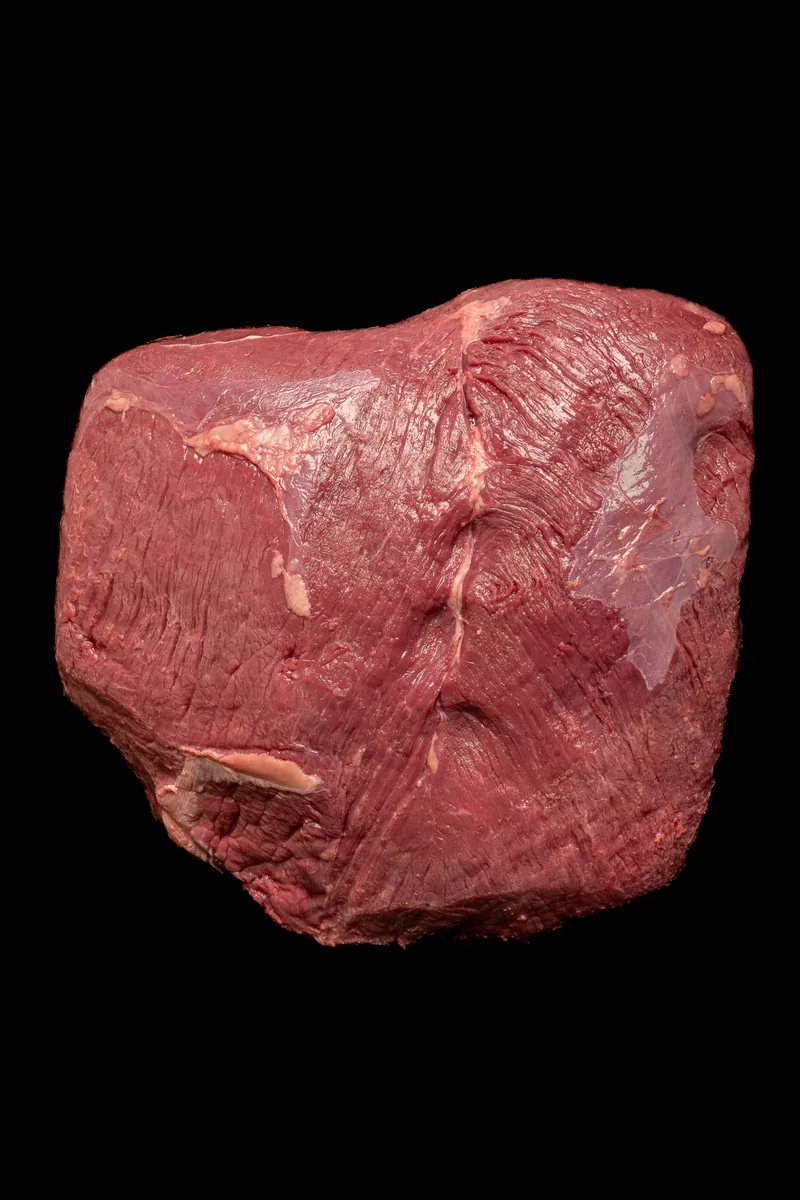 Flesh I (Beef), Surfaces 2026