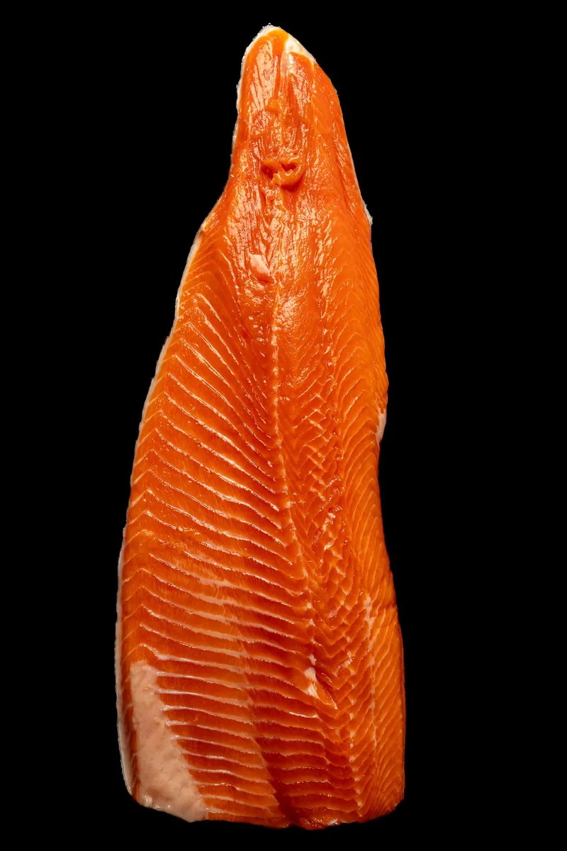 Flesh II (Salmon), Surfaces 2026