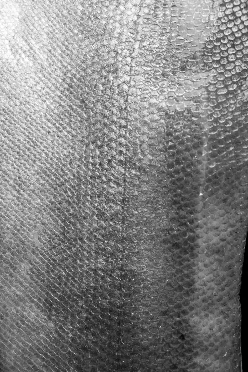 Surface I (Fish), Surfaces 2026